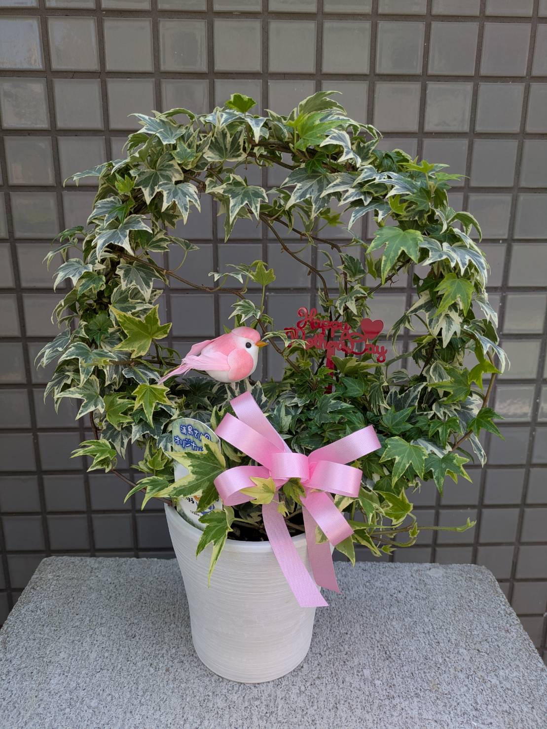 ヘデラ